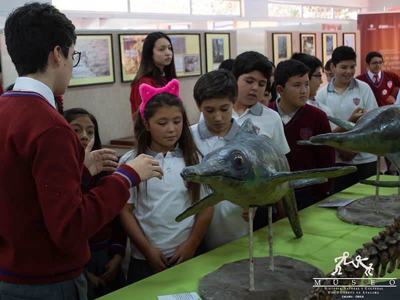 SUCCESSFUL LAUNCH OF PROGRAM “THE MUSEUM VISITS YOUR SCHOOL” IN CALAMA