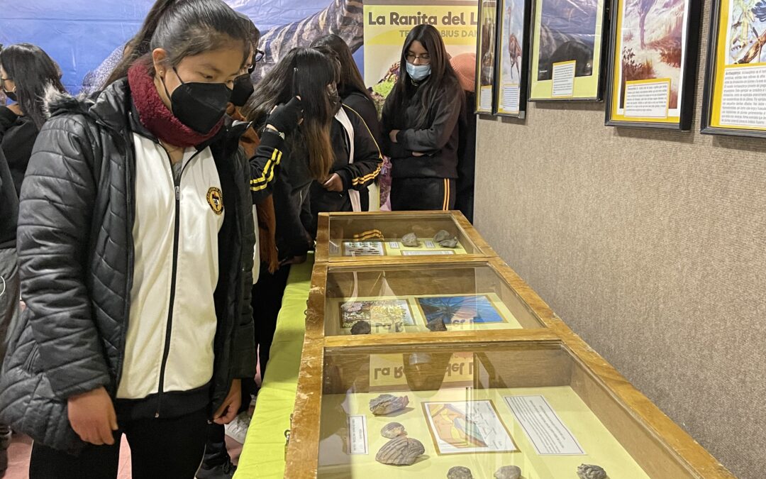 Liceo minero América de Calama recibe la muestra «El museo visita tu escuela»