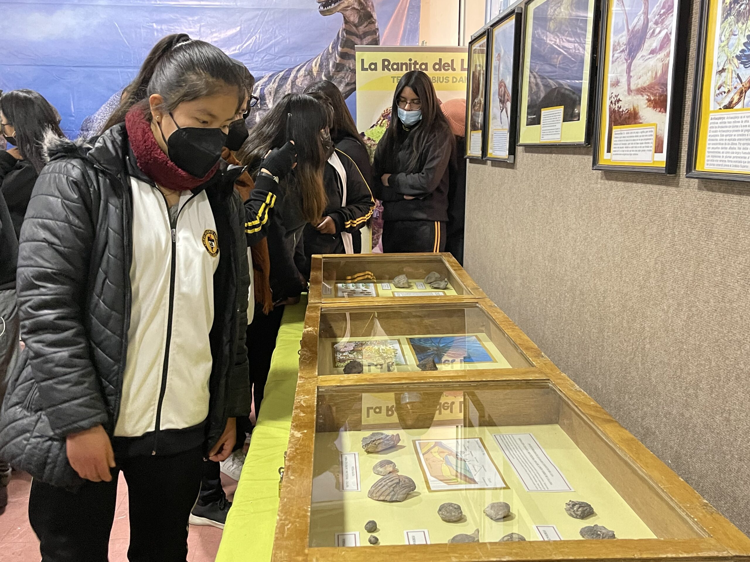Liceo minero América de Calama recibe la muestra «El museo visita tu escuela»