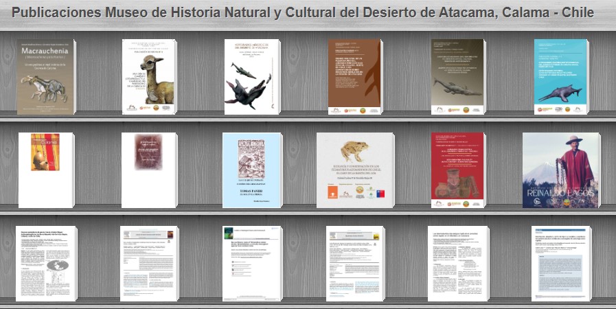 Publicaciones para descarga gratuita del Museo de Historia Natural y Cultural del desierto de Atacama