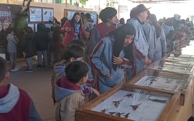 Museo visita tu escuela «Colegio San Nicolás de Calama»